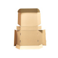 Customize Carton Packaging Box Gift Box for Shipping